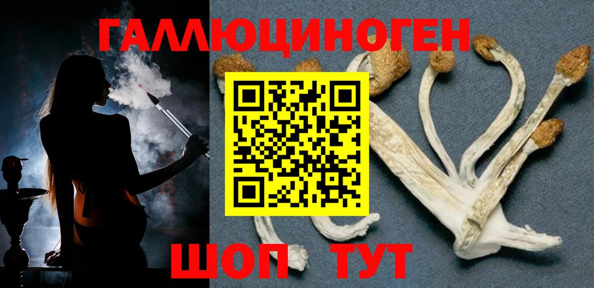 Темрюк  Галлюциногенные грибы ЛСД  Вход с VPN  Псилоцибиновые грибы Magic Shrooms 